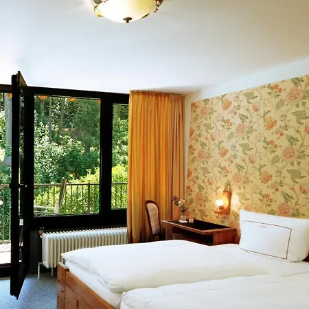 Vintage Petrisberg Трир