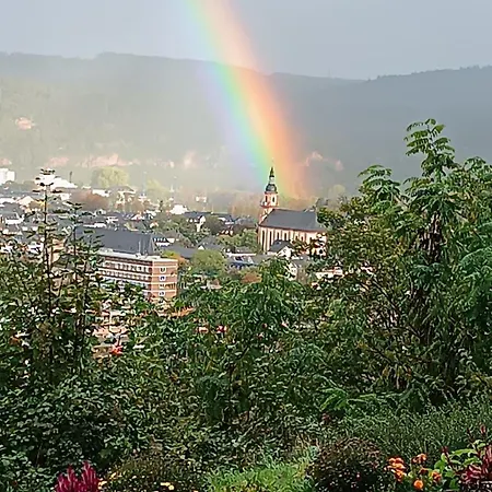 Отель Vintage Petrisberg *