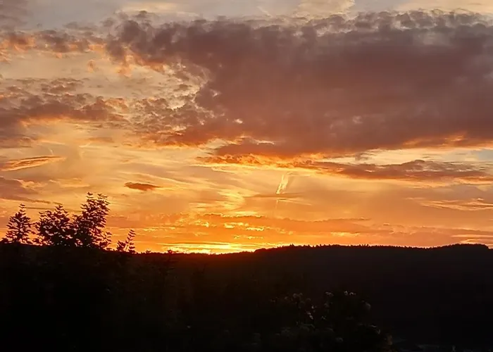 Hotel Vintage Petrisberg Tréveris