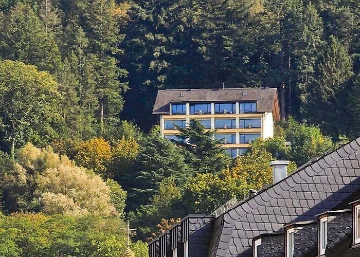 Hotel Vintage Petrisberg Tréveris